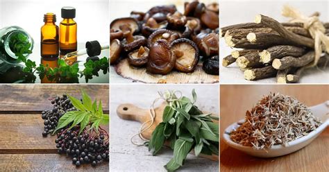 10 Healthy Natural Immune Boosters - Happy Body Formula