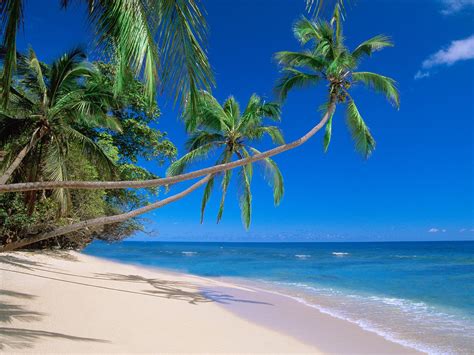 Banco de Imágenes Gratis: Playas paradisiacas parte V (10 paraísos naturales)