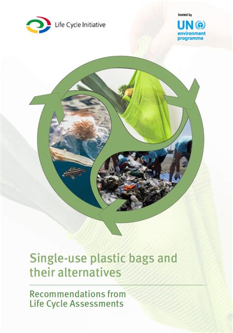 Single-use plastic bags and their alternatives: Recommendations from ...