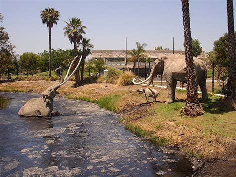 Travel Thru History Dig Your Way Thru History at the La Brea Tar Pits - Los Angeles, CA - Travel ...