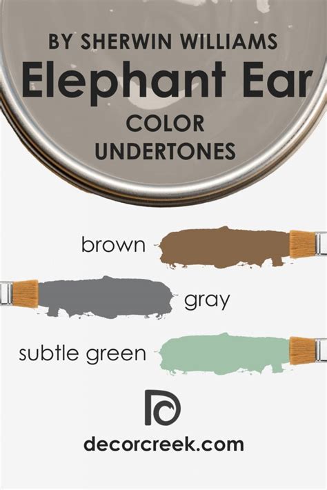 Elephant Ear SW 9168 Paint Color by Sherwin-Williams