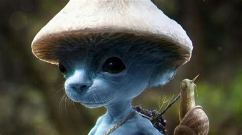 Petition · Smurf Cat Day! - United States · Change.org