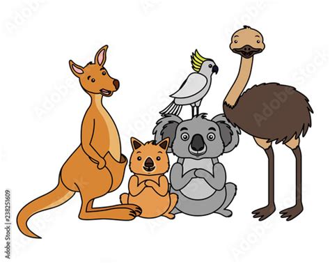 kangaroo koala wombat cockatoo and emu Stock Vector | Adobe Stock