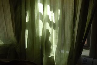 Behind the curtains | Can you see the kitty? | twentysixcats | Flickr