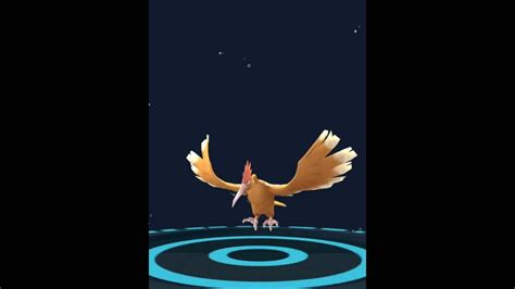 POKEMON GO: Spearow EVOLVE into ? (Спироу эволюционирует в ?) - YouTube