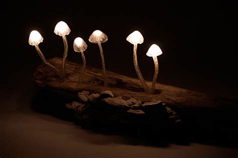 LED Mushroom Desk Lamps - mikeshouts