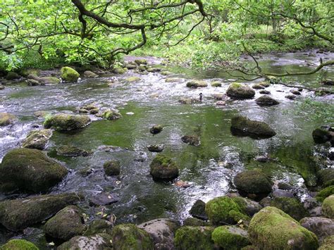 www.bootsandpaws.co.uk - Lake District - Page 1 (Chapel Stile, Holker ...