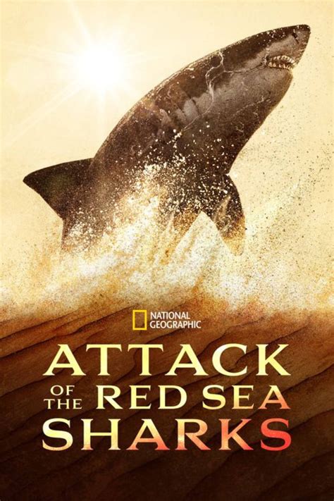 Attack of the Red Sea Sharks (2024) | Collider