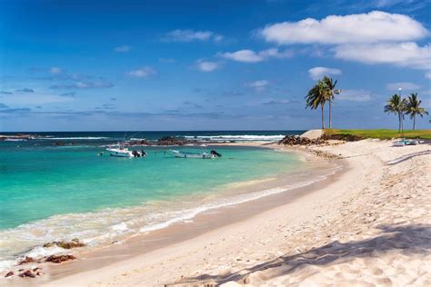 The Ultimate Visitors Guide to Punta Mita, Mexico | The Trav Nav