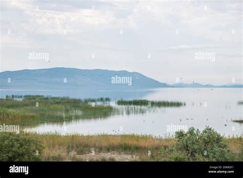 Lake Vrana (Vransko Jezero), Croatia Stock Photo - Alamy