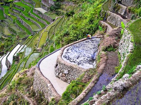 Most Beautiful Terraced Rice Fields – The WoW Style