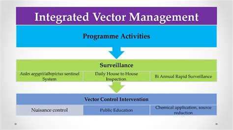 Integrated Vector Management Programme Jamaica - ppt download