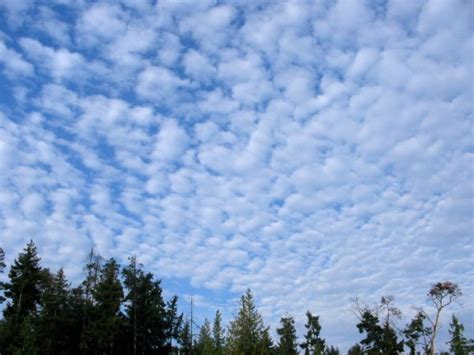 School-Based Weather Station Network -- Cloud Types