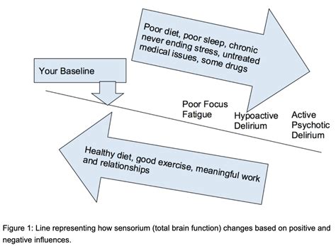 Episode 006: Sensorium Part 1: Total Brain Function Optimization — Psychiatry & Psychotherapy ...