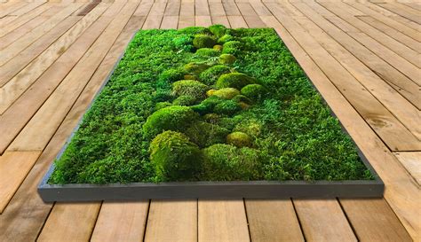 Moss Wall Art. Preserved Moss Decor. Plant Wall. Moss Art. - Etsy