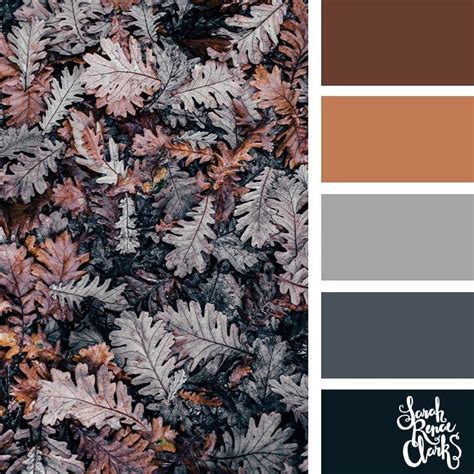 25 Autumn Color Palettes | Fall color schemes, Color schemes, Color schemes colour palettes