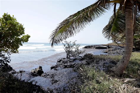 Trinidad and Tobago cleans up beaches following 12-kilometer oil spill ...