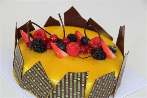 Passion fruit mousse cake - Dirafrost