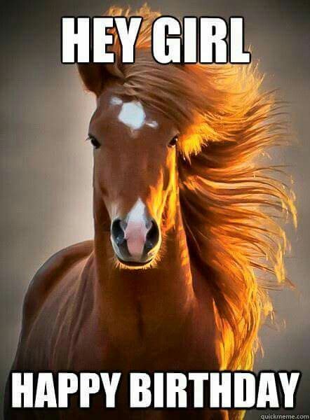 20 Ridiculously Photogenic Animals | Horses, Beautiful horses, Animals