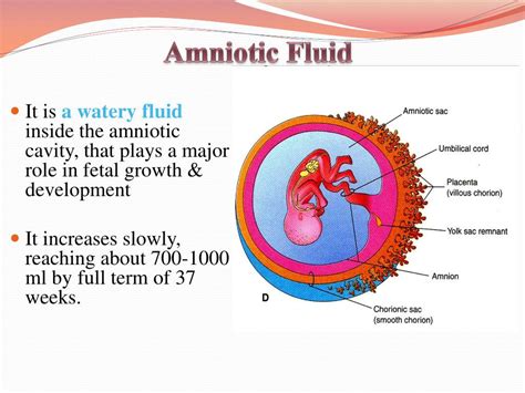 Normal amniotic fluid - doorstart