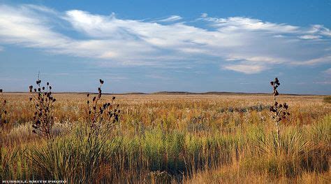 10 Best Portales, NM images | Land of enchantment, Chamber of commerce ...