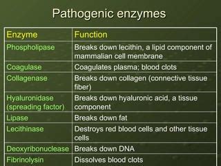 Bohomolets Microbiology Lecture #8 | PPT