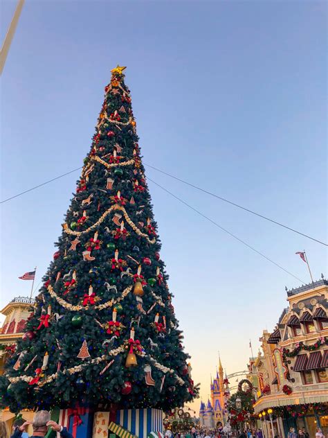 PHOTOS – Holiday Decorations and Christmas Tree Arrive at Magic Kingdom ...