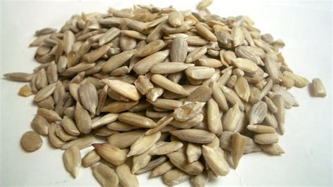 Sunflower seeds: How to peel and remove the shells before eating them ...