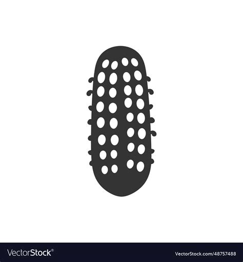 Sea cucumber icon Royalty Free Vector Image - VectorStock