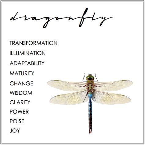 16 best dragonflies images on Pinterest | Dragonfly quotes, Dragon flies and Dragonfly symbolism