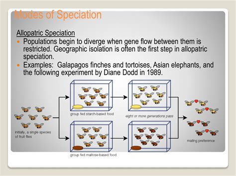 PPT - Speciation PowerPoint Presentation, free download - ID:9509847