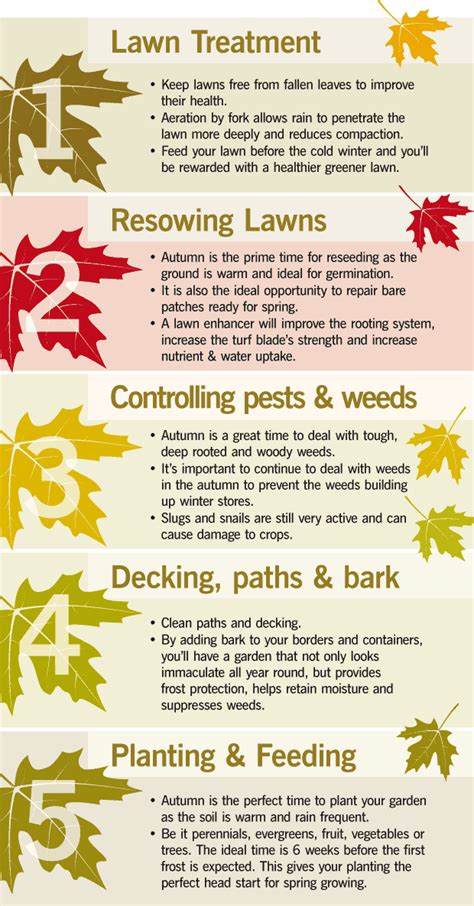 Autumn gardening top tips – Haskins Garden Centres