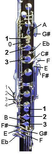 Bb Bass Clarinet Key Diagram