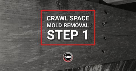 Crawl Space Mold Removal Step 1 | Crawl Space Ninja