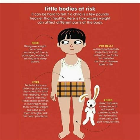 Obesity Causes and Remedies - Budding Star Normal Weight, Loose Weight, Care During Pregnancy ...