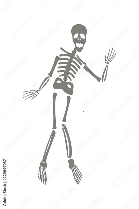 Drawing of a cute cartoon waving skeleton character. Great for Halloween or similar. Stock ...