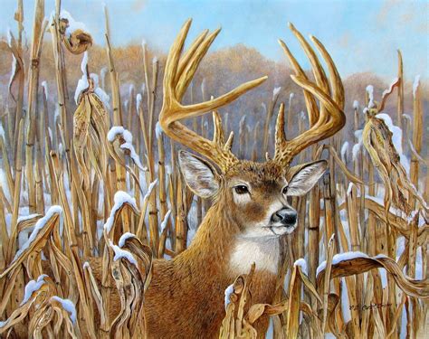 Carol Decker Wildlife Art Studio | | Deer painting, Deer artwork, Wildlife artwork