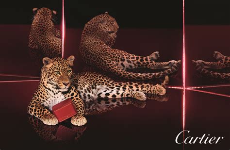 Cartier: Mazarine signs the come back of the Panther in institutional ...