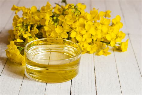 To buy rapeseed oil wholesale, export of rapeseed oil | worldmaxoil.com