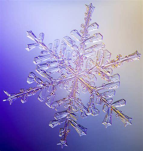 Snowflake Images