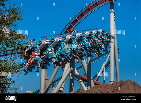 Theme park guests riding Dragon Challenge roller coaster in Wizarding ...