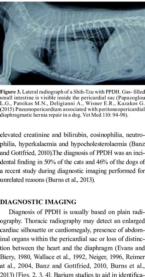 Diaphragm develops embryonically from four structures: the septum ...