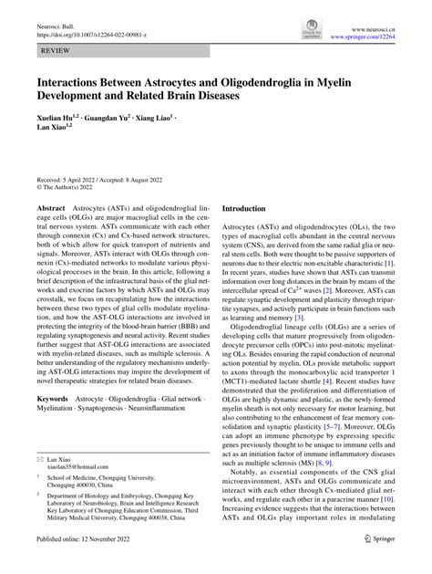 (PDF) Interactions Between Astrocytes and Oligodendroglia in Myelin Development and Related ...