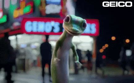 Dancing-gecko GIFs - Get the best GIF on GIPHY