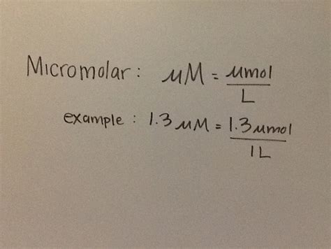 Micromolar Help - WongChemistry