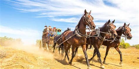 Best things to do in Longreach - Queensland Travel Guide