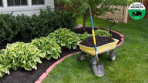 How to mulch your yard like a pro, according to a landscaping expert