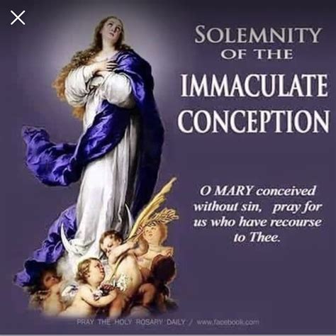 Feast Of Immaculate Conception - A Little Feast Of The Immaculate ...