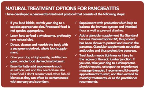 Food List For Dogs With Pancreatitis - Dog Food