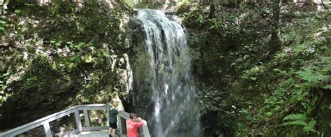 Falling Waters State Park | Florida State Parks